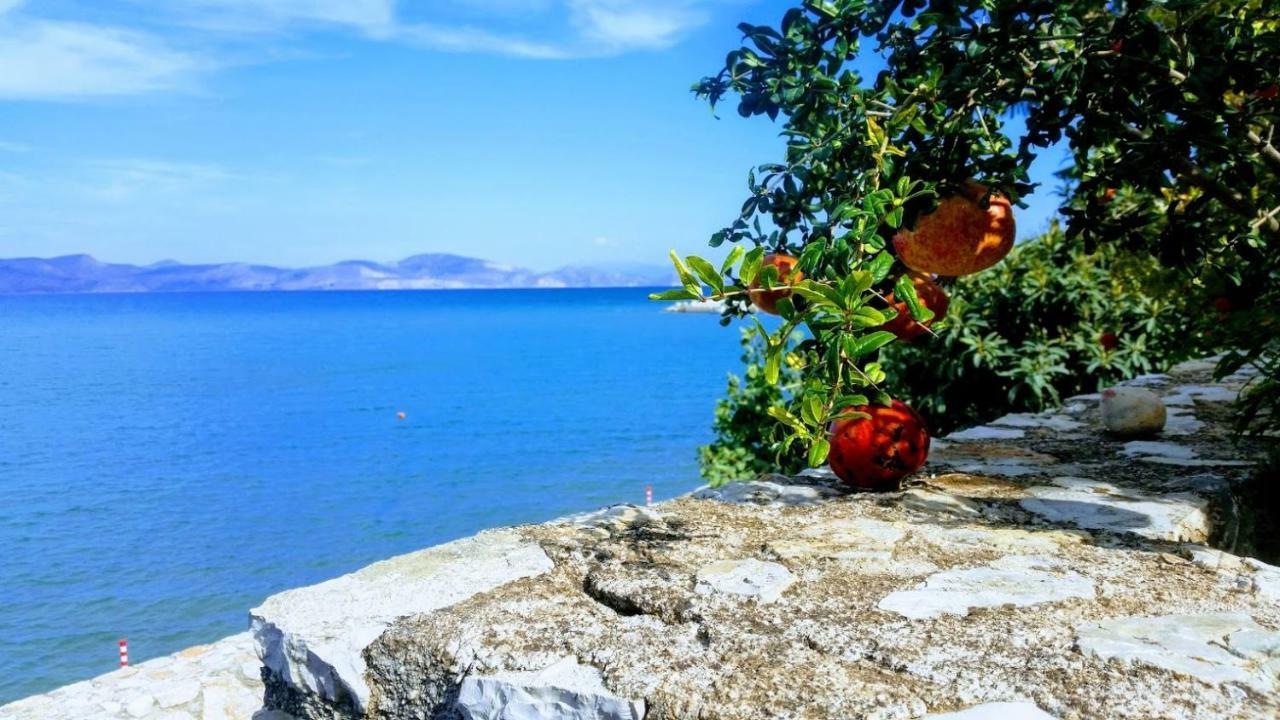 Seafront In Kiveri, Near Nafplion.